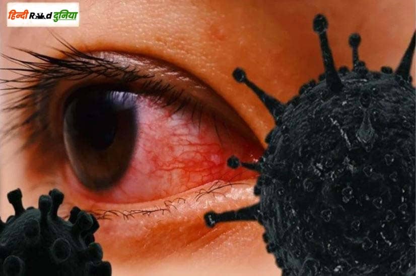 black fungus kya hai