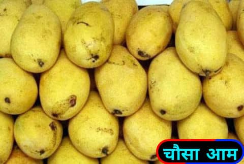 चौंसा आम / Chaunsa Mangoes.