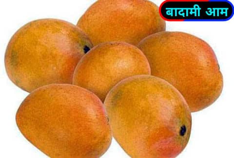 बादामी आम / Badami mangoes.