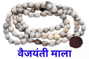 वैजयंती की माला कौन पहनता है? Who can wear Vaijayanti Mala?