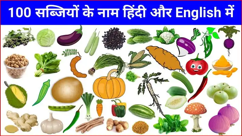 100 Vegetables Name in Hindi and English with Pictures | 100 सब्जियों के नाम हिंदी और अंग्रेजी में