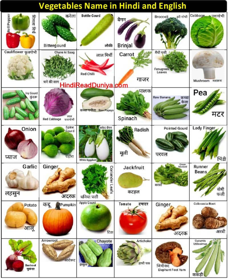 30 vegetables name in hindi and english with photo | सब्जियों के नाम हिंदी और अंग्रजी में