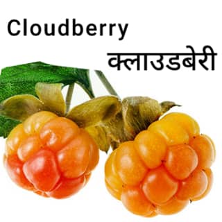 Cloudberry