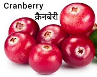 Cranberry