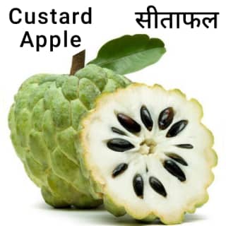 Custard-Apple-सीताफल