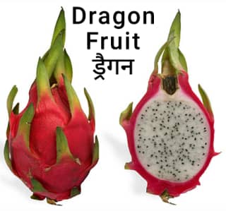 Dragonfruit-ड्रैगन