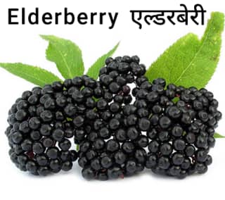 Elderberry