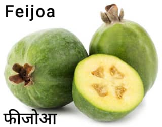 Feijoa