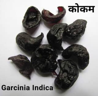 Garcinia indica