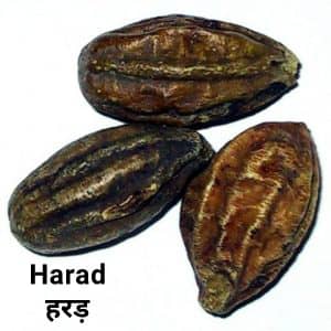 Harad