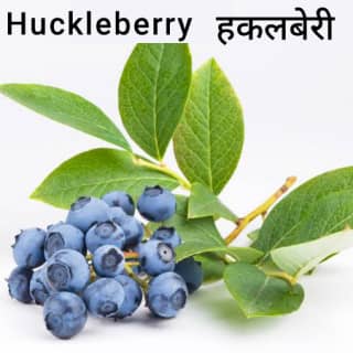 Huckleberry-हकलबेरी