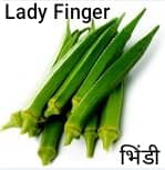 Lady-Finger