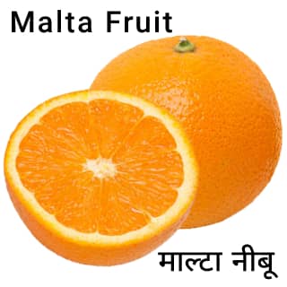 Malta-Fruit-माल्टा-नीबू