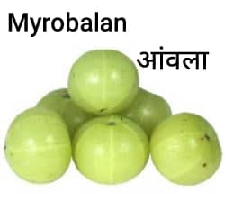 Myrobalan-आंवला