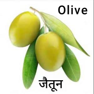 Olive-Fruit-जैतून