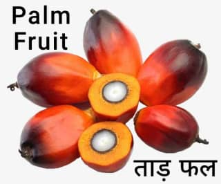 Palm-Fruit