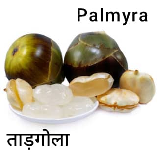 palmyra ताड़ का फल