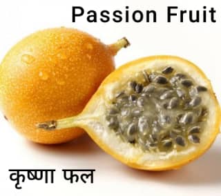 Passion-Fruit कृष्णा फल