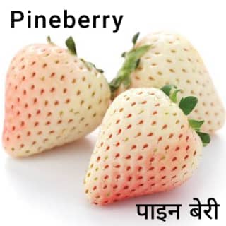 Pineberry