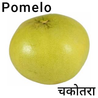 Pomelo-चकोतरा