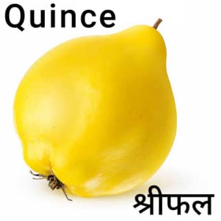 Quince-श्रीफल