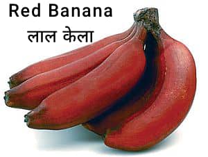 Red-banana-लाल-केला