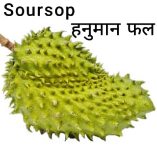 Soursop-हनुमान-फल