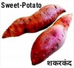Sweet-Potato