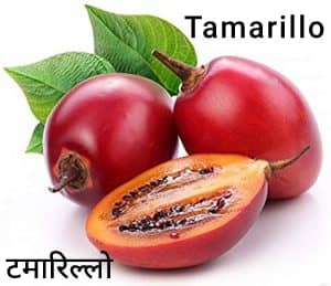 Tamarillo-टमारिल्लो