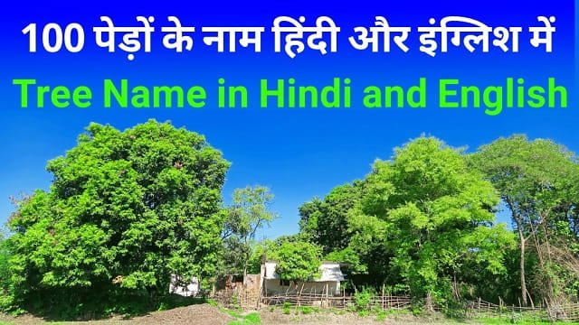 100 पेड़ों के नाम हिंदी और इंग्लिश में – Tree Names in Hindi and English | Pedon ke Naam