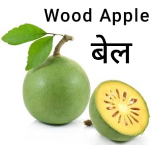 Wood-Apple-बेल