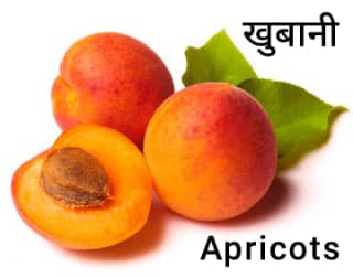 apricot-खुबानी