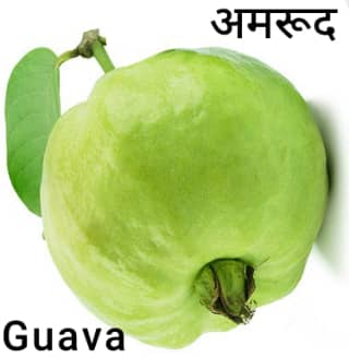 guava-अमरूद