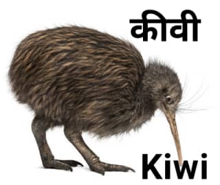 कीवी