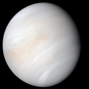 Venus (वीनस)