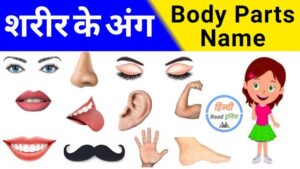 100 Body Parts Name in Hindi And English | शरीर के अंगों के नाम हिंदी और इंग्लिश में