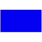 Rectangle Shape