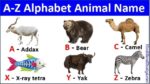 Animals Name in English A to Z | N se Animal Name in English » Hindi ...