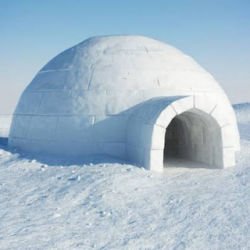 Igloo
