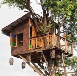 Tree House