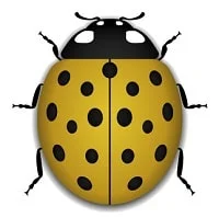 Coccinellidae