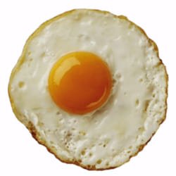 Fried egg