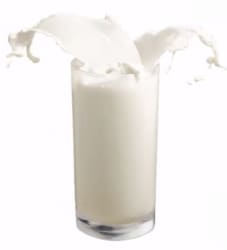 Milk