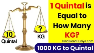 1 Quintal is Equal to How Many KG | 1 Quintal = kg in india